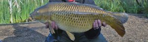 Welham Lake Carp Fishing Gallery