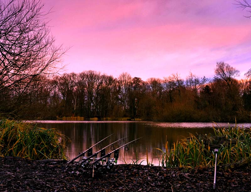 Yorkshire Carp Fishing Welham Lake