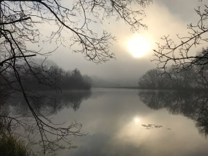 welham-lake-sunset-through-trees