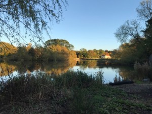 welham-view-accross-lake